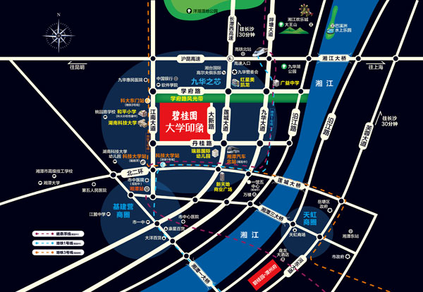 碧桂园·大学印象位置图